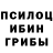Галлюциногенные грибы GOLDEN TEACHER Mario 2