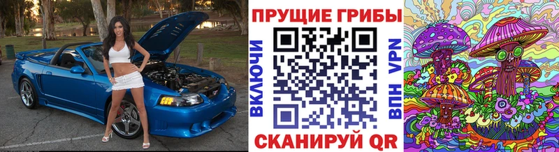 Псилоцибиновые грибы MAGIC MUSHROOMS  Купить  Мурино 